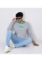 LE LS TEE Erkek Gri T-Shirt - 4