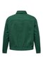 Jacke - Orange - Regular Fit - 2