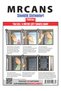 75x125 Cm 4 Meters Double Sided Taped Window Anti-Fly Repellent Fly Screen Curtain - 5