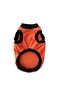 Dog figure summer athlete Cat & Dog Outfit Athlete - 2