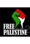Free Palestine Design Printed Crew Neck 100% Cotton T-Shirt - 4