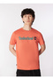 T-Shirt, M, Brown