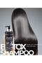 Repairing Care Shampoo for Dry and Damaged Hair 500 ml - 3