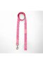 Pink Bones Dog Collar - 2