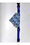 Bluedoggy Dog Collar with Scarf - 3