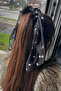 Black Color White Spotted Polka Dot Scarf Buckle - 3