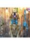 Forest Themed Female Bow Tie Dog Collar - 6