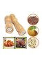 Wooden Mill Hand Mill 16.5 Cm Spice Grinder - 2