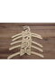 Wooden Bow Tie Figured Clothes Hanger Set of 5 for 0/4 Years Old - 6