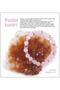 Certified Natural Stone Bracelet - Rose Quartz - 2