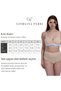 Lycra Box of 5 Premium High Waist Panties Suitable for Daily Use Berry G-007 G - 6