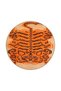 Orange Themed and Animal Patterned Decorative Carpet Miravip440 - 4