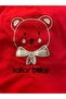 Men's Plaid Scarf Bear Set of 2 - 3