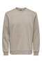 Men's Crew Neck Sweatshirt -22029226