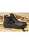 Pars 111 S2 Bot