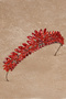 Bridal Crown Costume and Wedding Dress Crown Red for Women's Wedding and Henna - 5