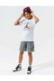 Jordan Jdb Jumpman Air Fleece Short Combed Cotton Boys' Shorts956129-Geh - 4