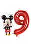 9 Year Old Birthday Mickey Mouse Balloon Set - Concept and Red Number Balloon