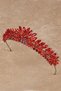 Bridal Crown Costume and Wedding Dress Crown Red for Women's Wedding and Henna - 4