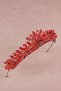 Bridal Crown Costume and Wedding Dress Crown Red for Women's Wedding and Henna