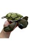 Imported Caretta Caretta Turtle Plush High Quality Detailed 20 cm - 5