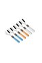 Venezia Colored Ice Cream Spoon for 6 Persons