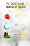Day Life Strawberry - 5