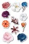 Flower Themed Sticker Set - 11 Piece Sticker Set - Phone, Tablet, Notebook Laptop Compatible Stickers