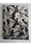 Sectioned Method 224 Sheets 20 X 28 Cm