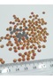 Dmc Hotfix - Iron-On Adhering Stone Ss20 Gold Ab (25 Grams - 400 Pcs) - 2