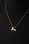 Steel Letter "T" Bubble Balloon Pendant Fish Back Bulk Chain T Letter 45cm