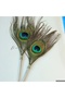 Peacock Design Feather Ink Vip Pro Dip Inkwell Set with Spare Nib Special Luxury Gift - 4