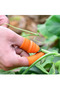 Practical Thumb Protector Gloves Vegetable Fruit Peeler Garden Knife Cutting Sorter Apparatus - 2