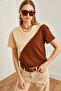 Women's Stone Brown Asymmetric Blocked T-Shirt TSH-19000350 - 5