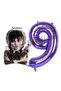 9 Year Old Wednesday Addams Birthday Balloon and Purple Number Party Set