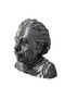 Albert Einstein Büstü 10 CM - 2