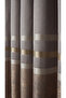 Clipboard Background Curtain Mink Gold - Single Wing with Gold Gray Stripe Frequent Pleated Jacquard Bright Pattern - 7