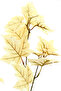 Autumn Spray, Aranjman Sonbahar Çiçeği - 2