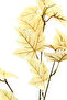 Autumn Spray, Aranjman Sonbahar Çiçeği