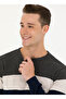 U.S. Polo Assn. Crew Neck Regular Fit Navy Blue Men's Sweater Woner - 2