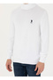 U.S. Polo Assn. Turtleneck Slim Fit White Men's Sweater Ybs-Sk23 - 6