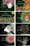 Coloring Book Set-3 (8 Books) for Elders