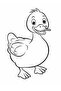 Farm Animals Painting and Drawing Set - 5
