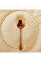 Gold Practical 21 Cm Stainless Steel Luxury Serving Salad Spoon Spatula| Steel Food Serving Spoon - 3