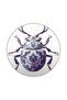Blue Insect Patterned Washable Carpet Miravip8237 - 4