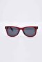 Unisex Minimalist Design Red Transparent Frame Sunglasses