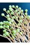 No:48 - 50 Pcs Decorative Beaded Promise Engagement Birthday Party Cupcake Mevlüt Ornament Toothpick - 2