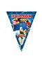Yogiparti Sonic Boom Good Birthday Printed Written Pennant