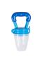 Fruit Pacifier with Teether
