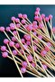 No:43 - 50 Pieces Decorative Beaded Cupcake - Engagement, Birthday and Party Ornament Toothpick